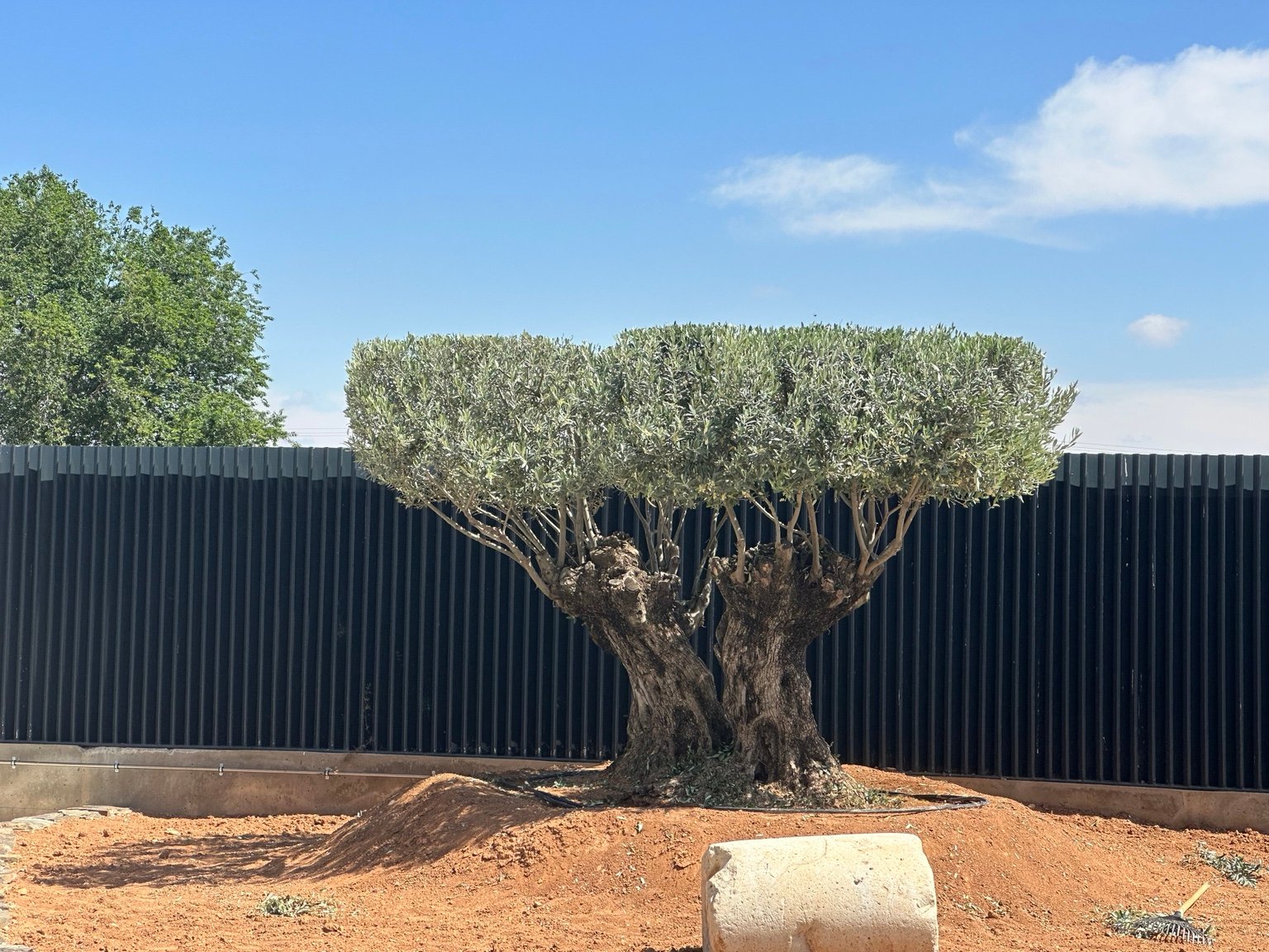Jardinería integral