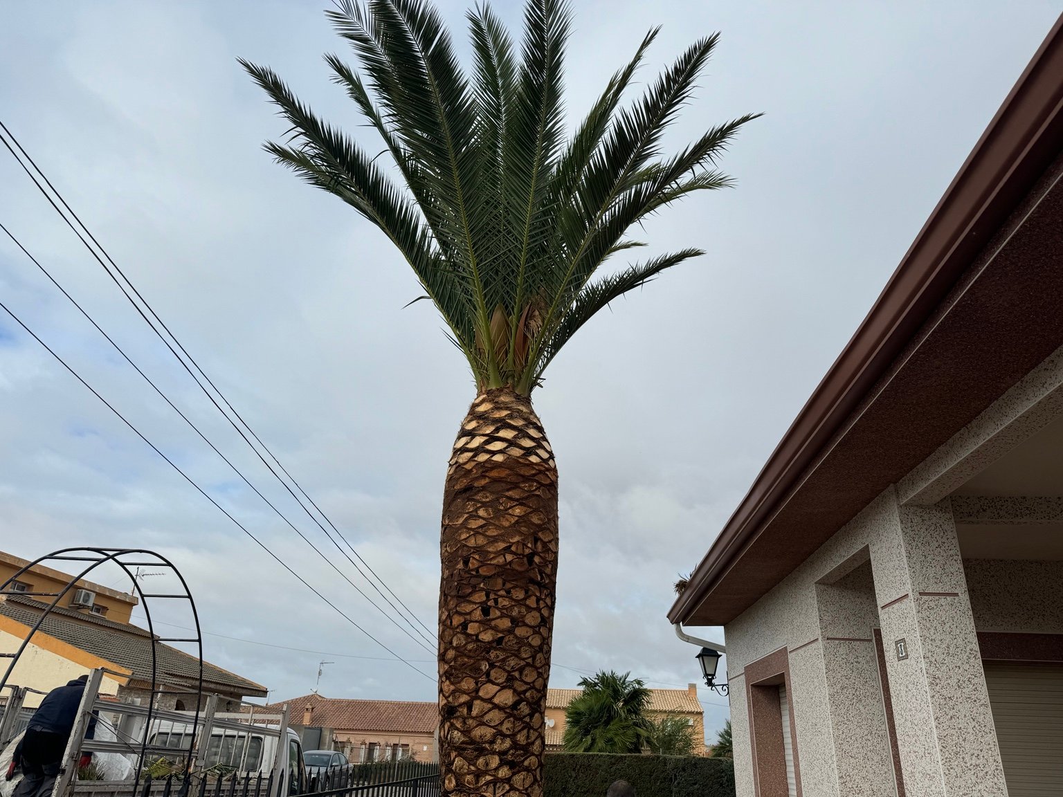 Trabajo real de jardinería y mantenimiento de El Ballestar Time
