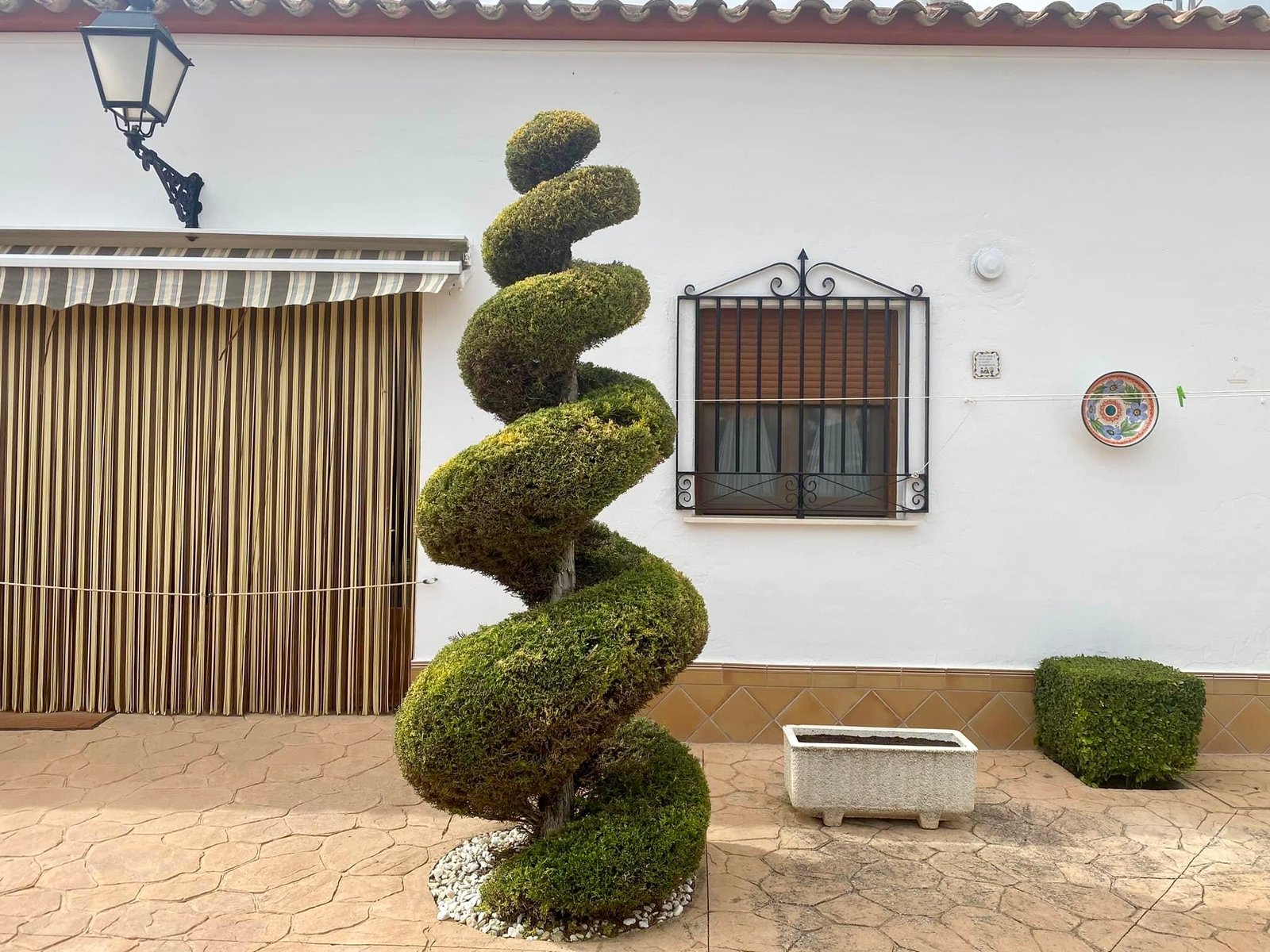 Trabajo real de jardinería y mantenimiento de El Ballestar Time