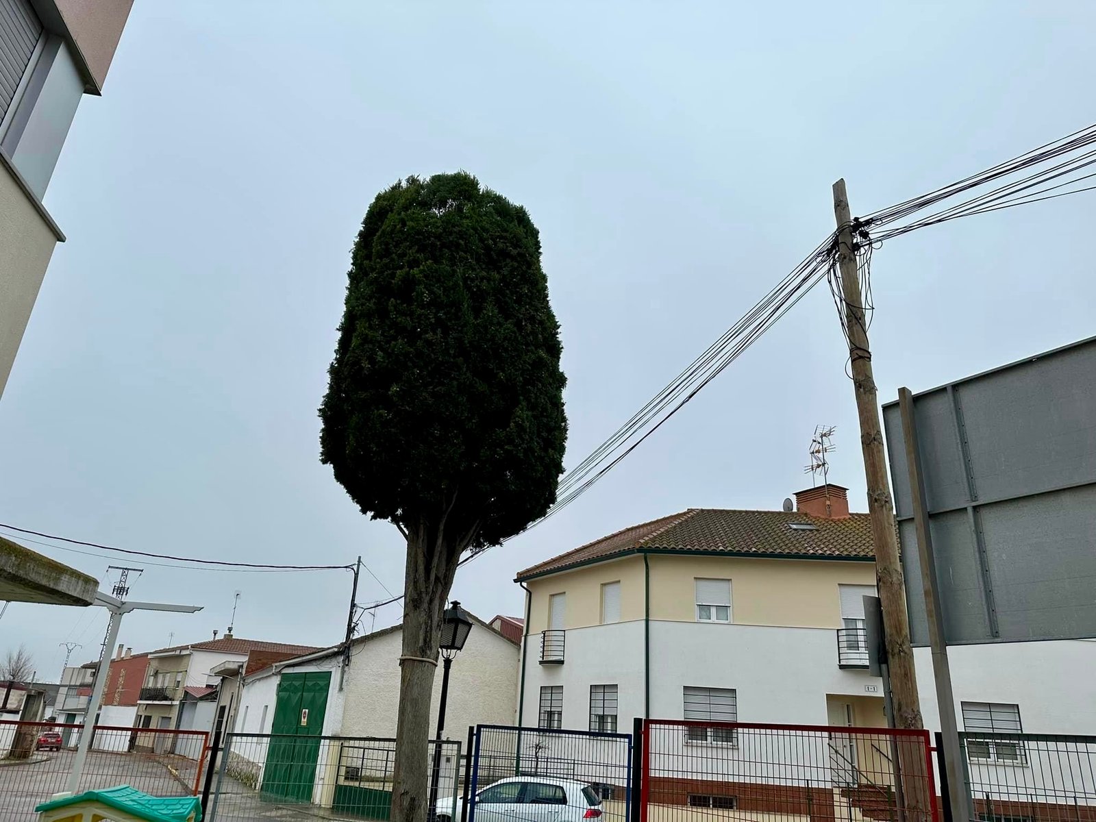Trabajo real de jardinería y mantenimiento de El Ballestar Time