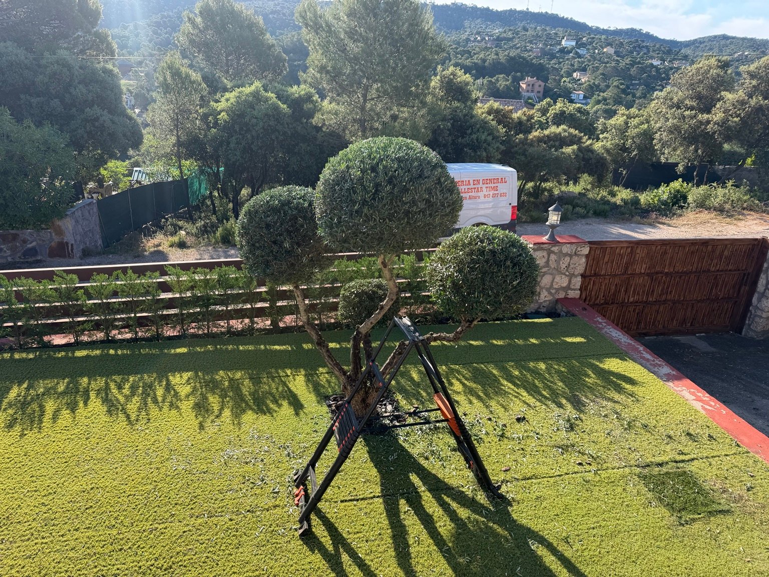 Jardinería y mantenimiento