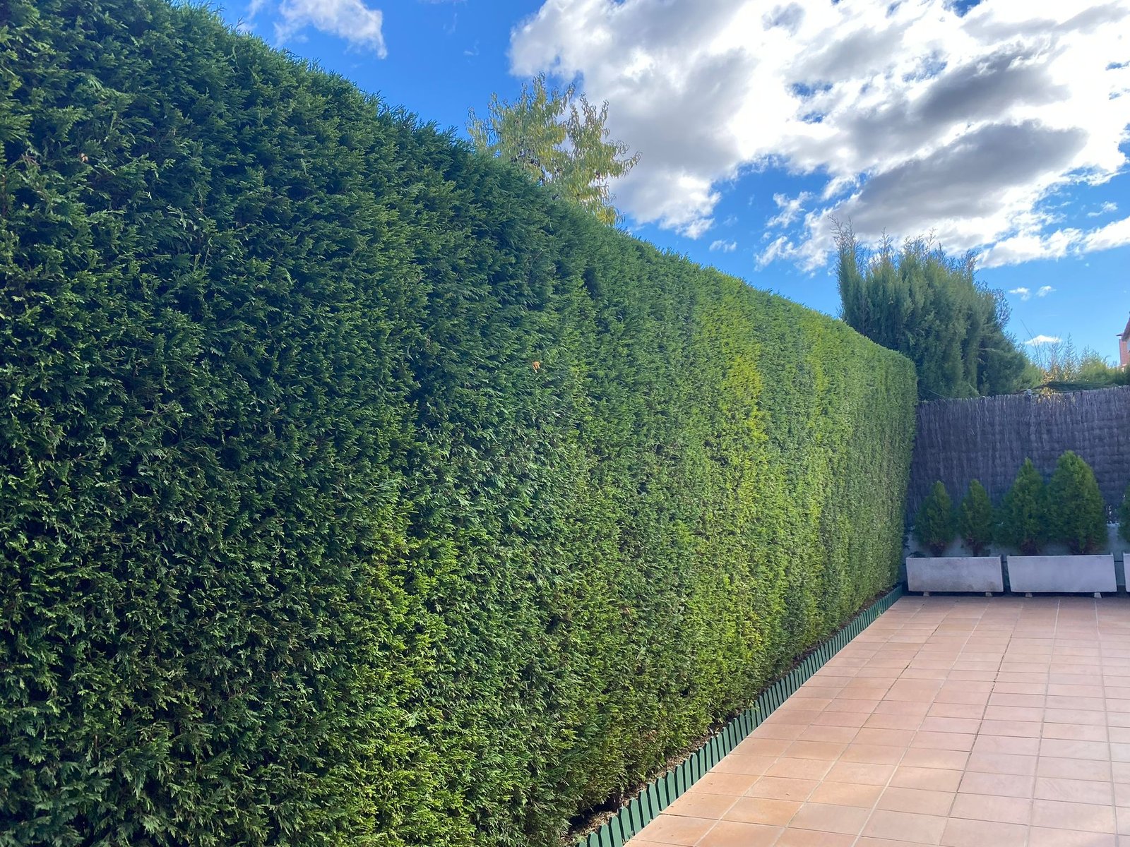Trabajo real de jardinería y mantenimiento de El Ballestar Time